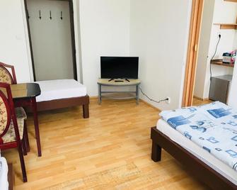Dusan Apartments - 奧爾洛瓦 - 睡房