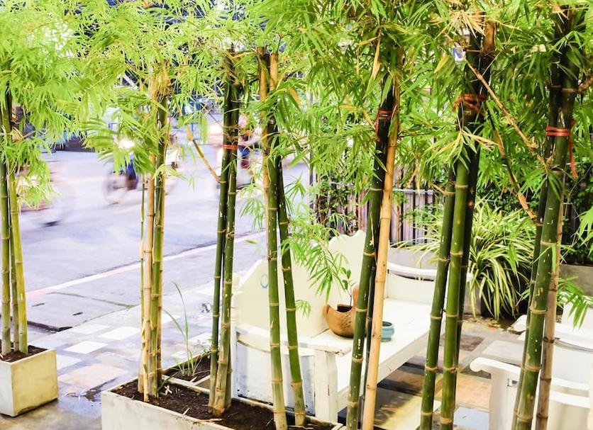 户外景观 照片