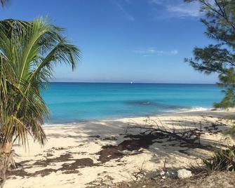 Cozy Seaside 2 Bed/2 Bath Bimini Cottage-Bay Side View -Soft Green Colored House - Alice Town - 海滩