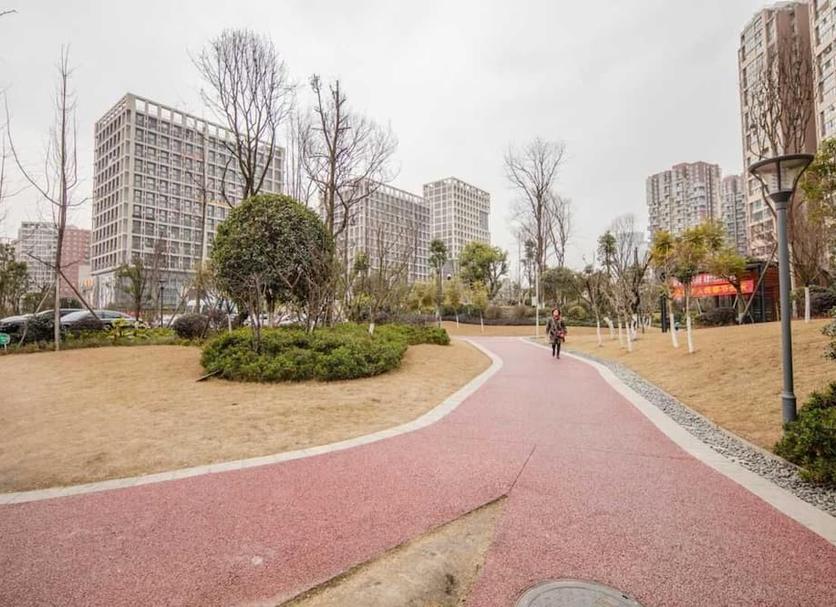 户外景观 照片