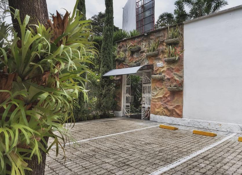 户外景观 照片