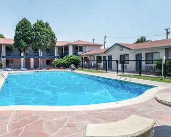 科罗拉多斯普林斯罗德威套房酒店 - 科罗拉多斯普林斯 - 游泳池