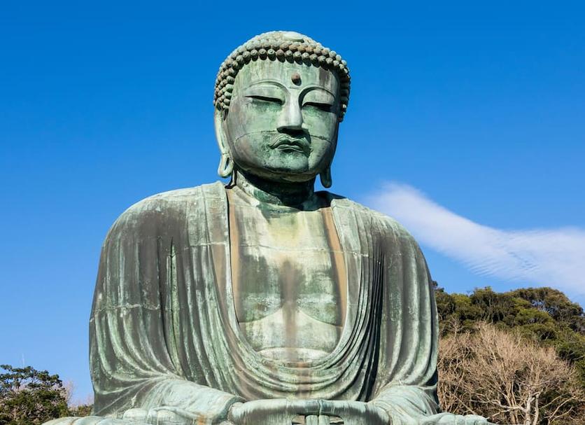 其他： 照片