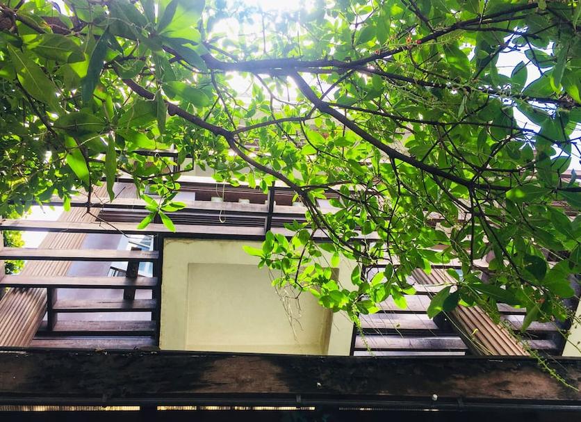 户外景观 照片