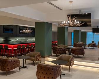 Radisson Blu Hotel, Juba - 朱巴 - 酒吧