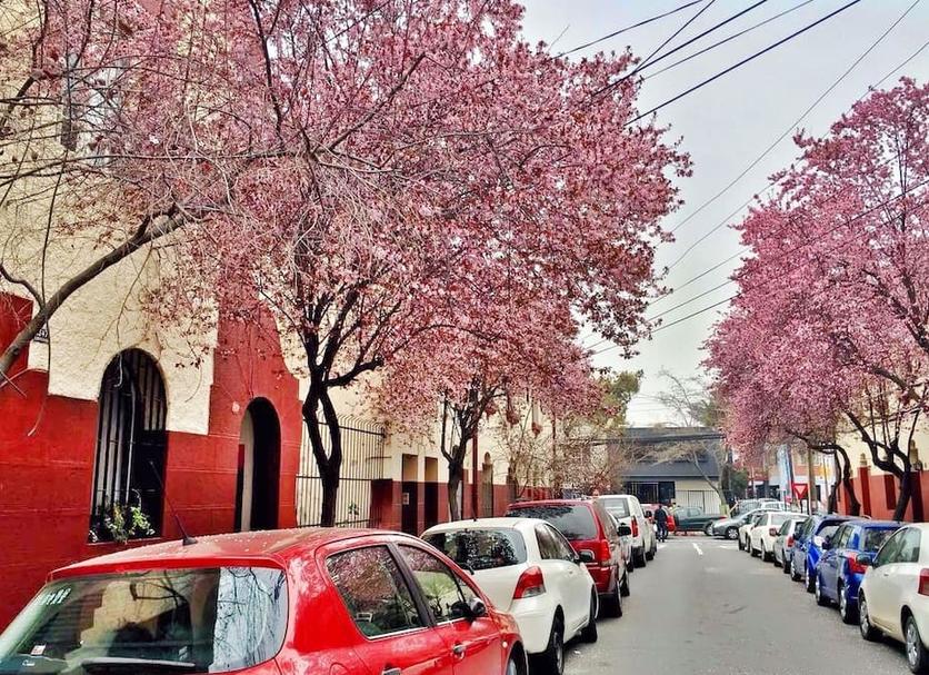 户外景观 照片