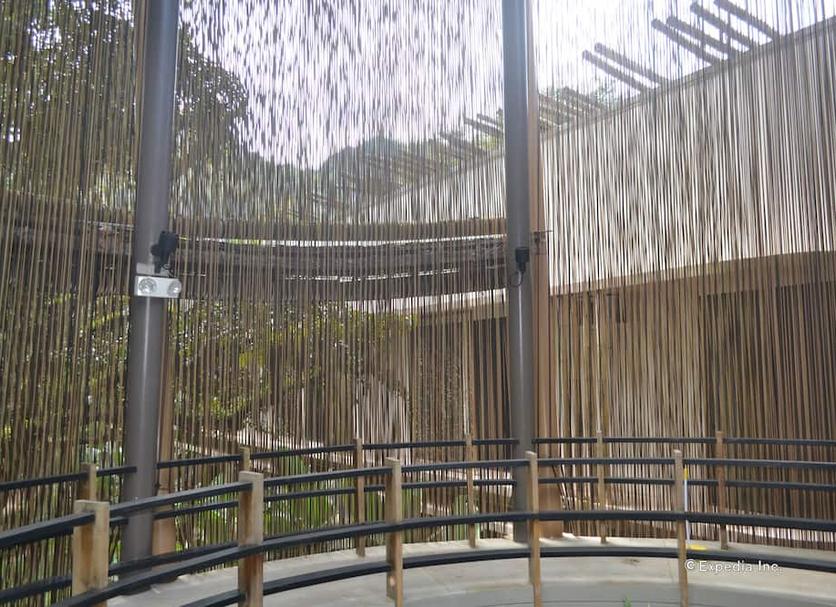 户外景观 照片