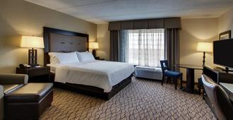 巴尔的摩华盛顿国际机场韦斯特智选假日酒店 - 汉诺瓦 - 睡房