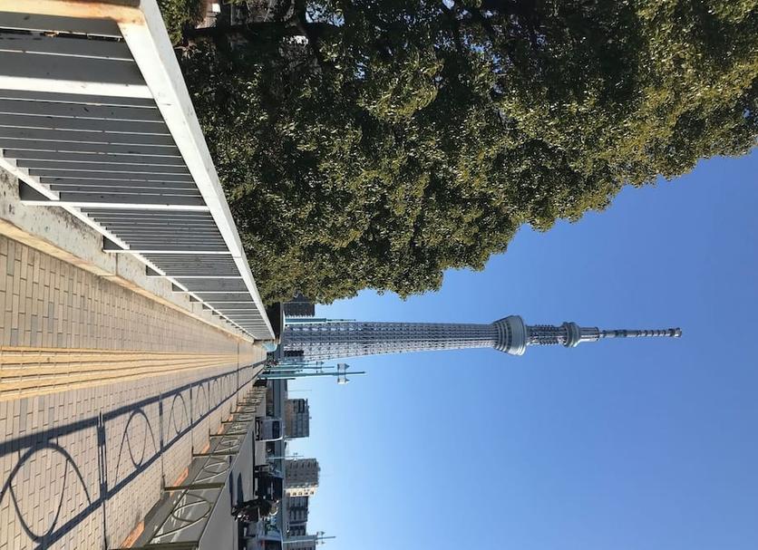 户外景观 照片