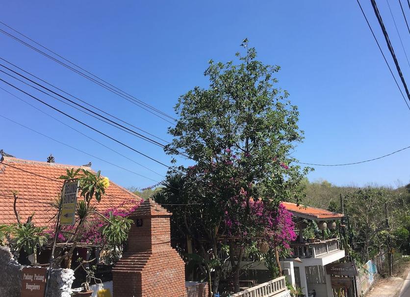 户外景观 照片