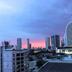 户外景观