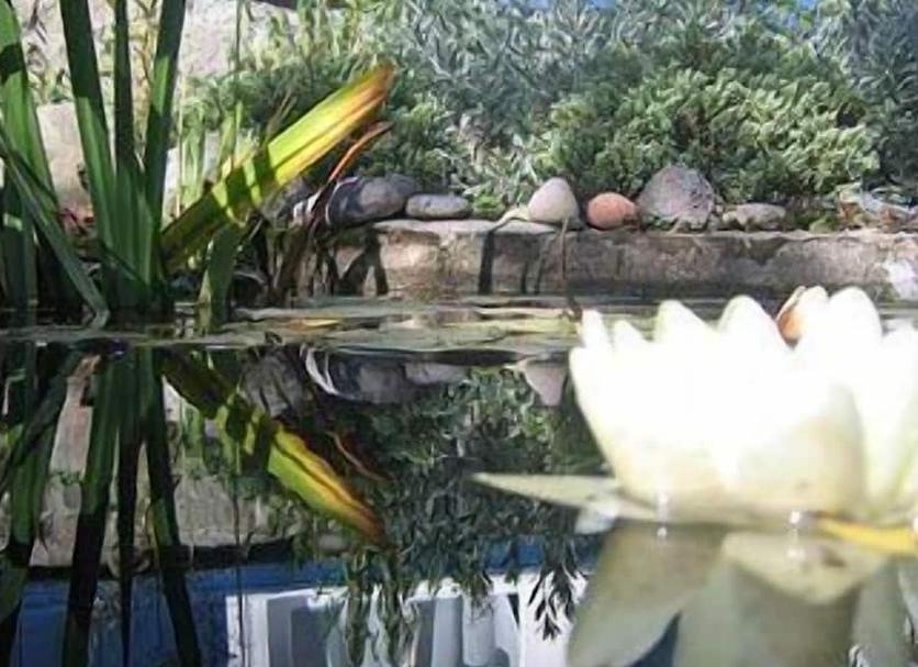 户外景观 照片