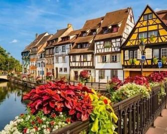 Esprit Colmar - 2 chambres de charme - 米卢斯 - 建筑