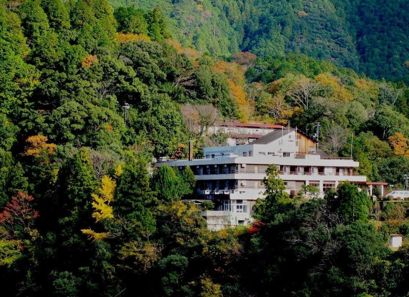 户外景观 照片