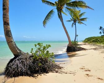 Vonu Hut-Near Beachfront-Private - Budget Luxury - 萨武萨武 - 海滩