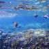 海滩