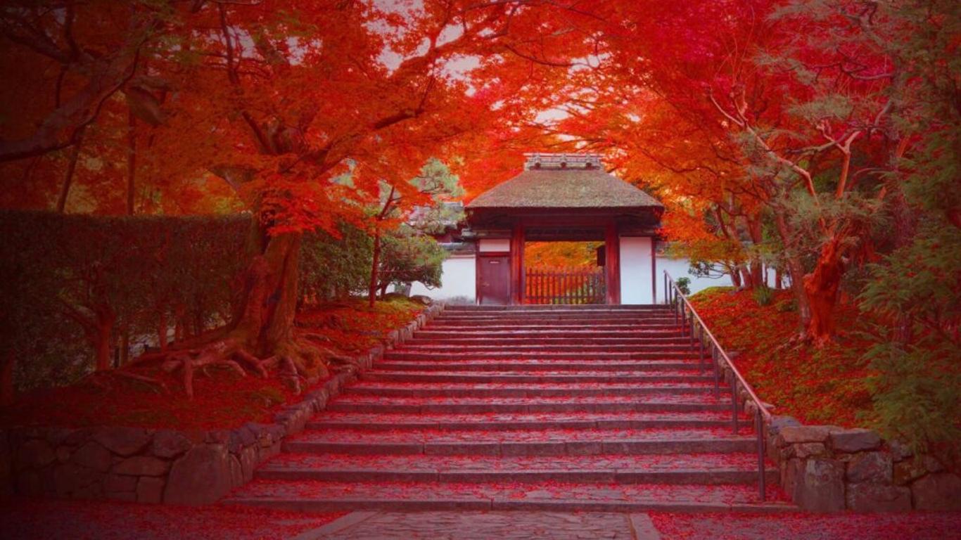 十二旅馆