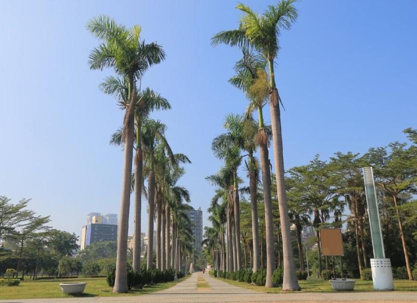 户外景观 照片