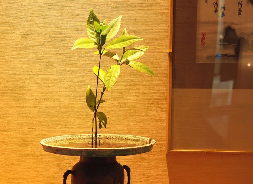 客房设施 照片
