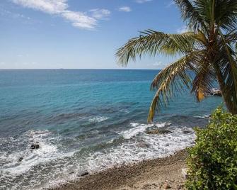 Salty Sway III - 1bed/1bath Beach House - 圣托马斯岛 - 海滩
