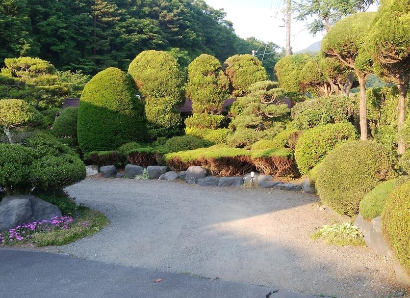 户外景观 照片