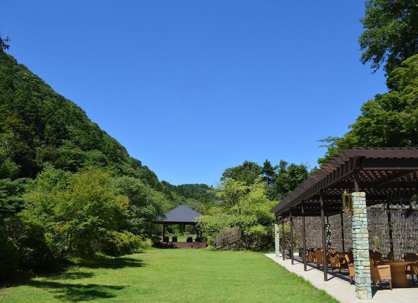 户外景观 照片