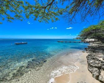 20% Off For First 3 Bookings - New Listing - Beachside One-Bedroom Suite - 萨瓦内塔