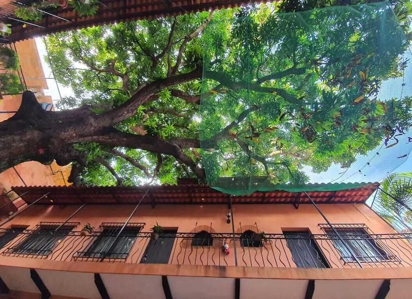 户外景观 照片