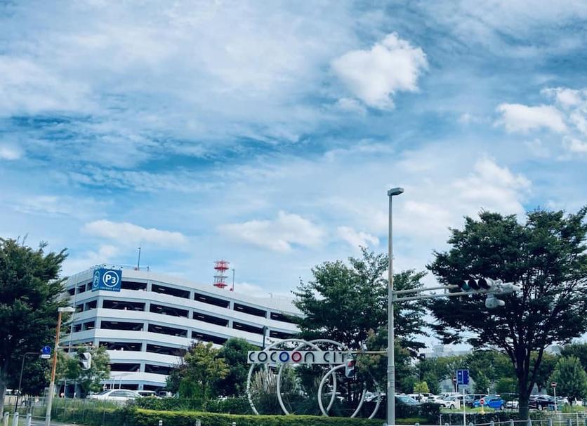 户外景观 照片