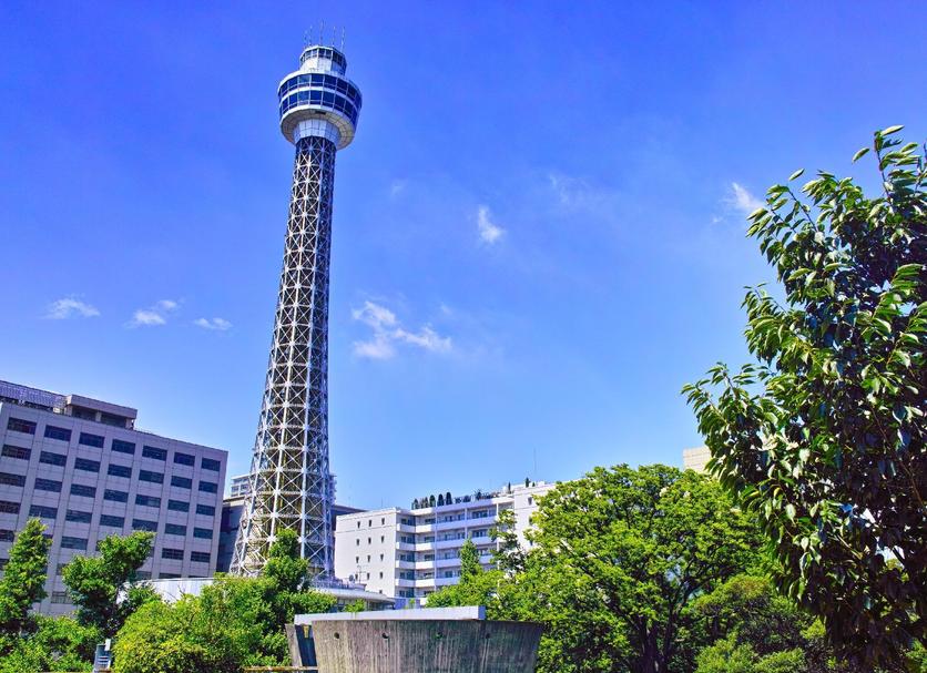 户外景观 照片
