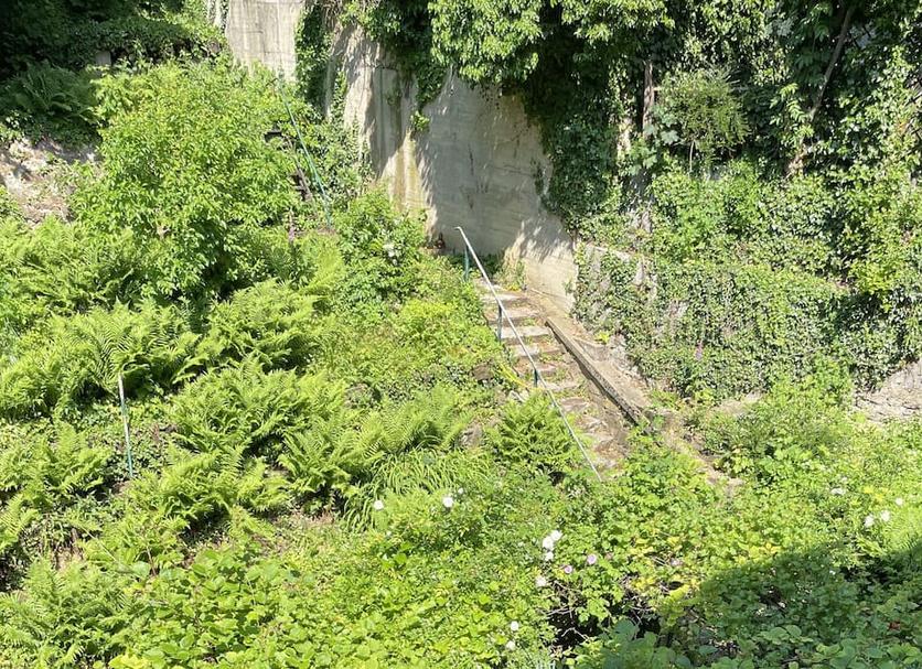 户外景观 照片