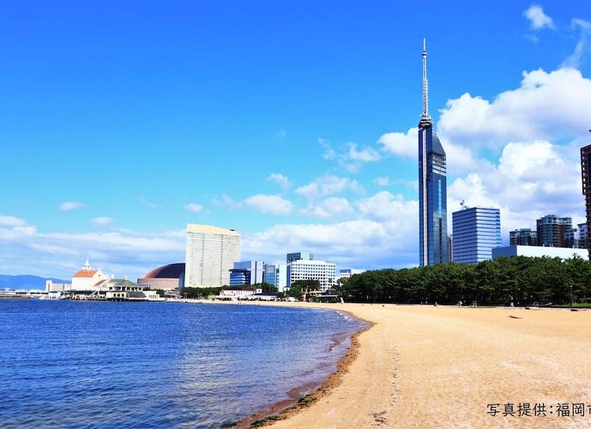 户外景观 照片