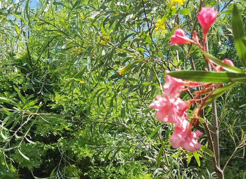 户外景观 照片
