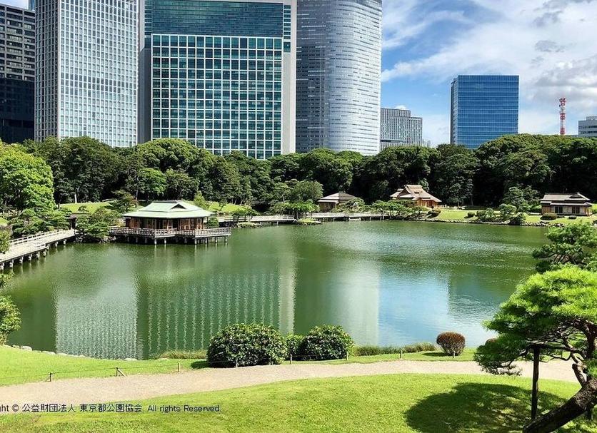 户外景观 照片