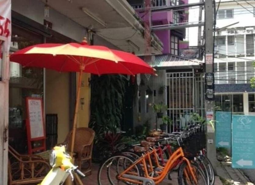 户外景观 照片