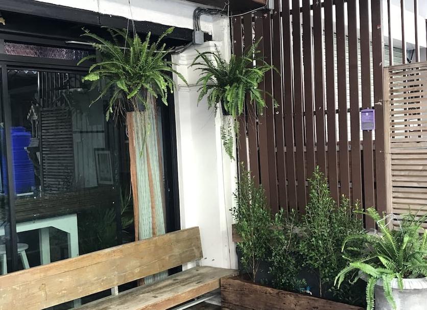 户外景观 照片