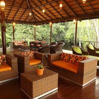 亚马逊生态园丛林旅馆