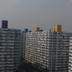户外景观