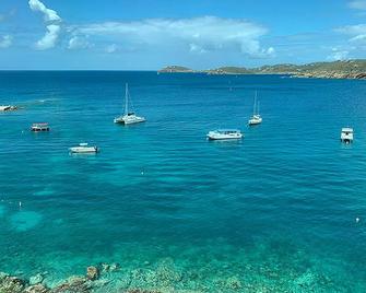 Frenchman's Cove 3-Bedroom Suite + Beachfront Amenities - 圣托马斯岛 - 海滩