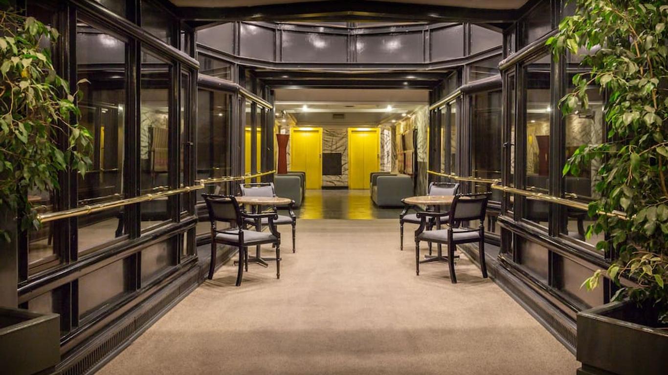 蓝树创始人酒店