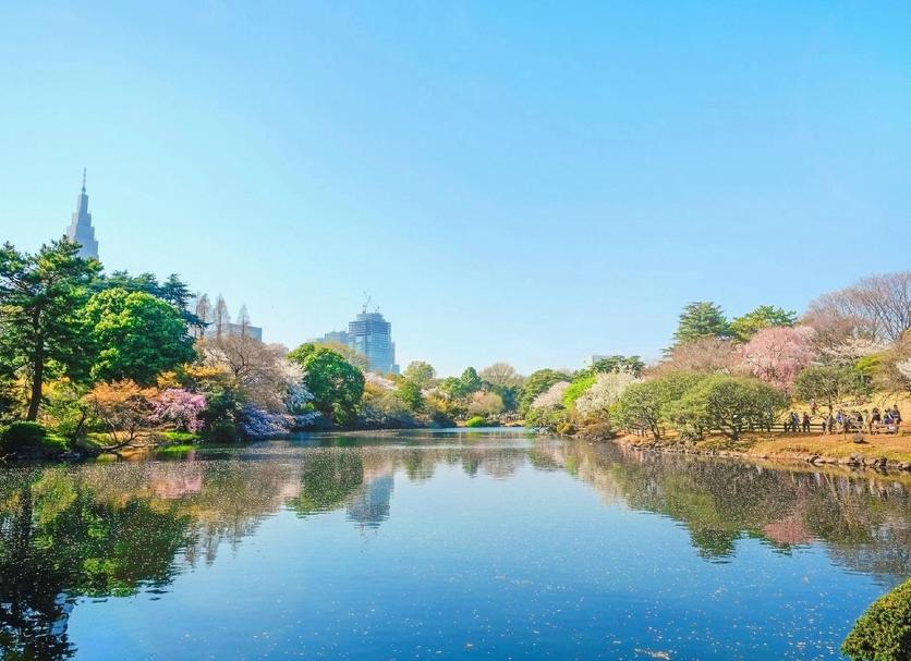 户外景观 照片