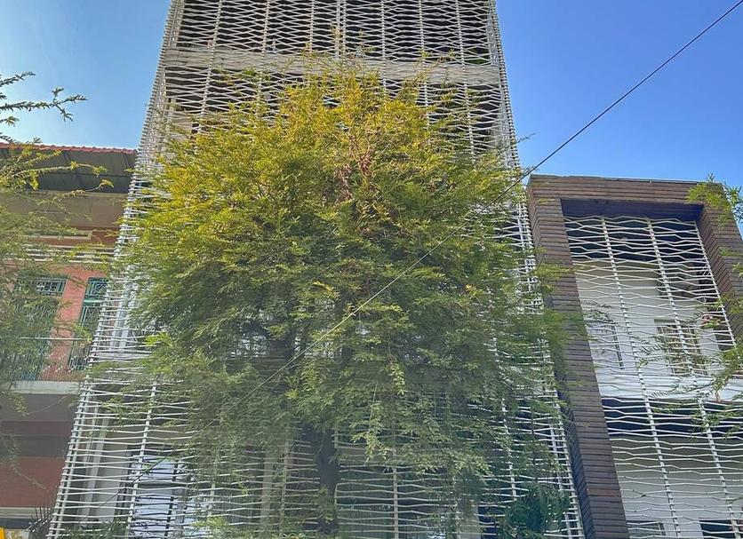 户外景观 照片