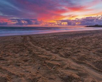 Bundaberg公园村 - 班德堡 - 海滩