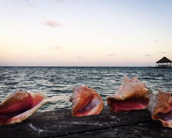 The view with a wonderful breeze from the sea - 圣佩德罗 - 游泳池