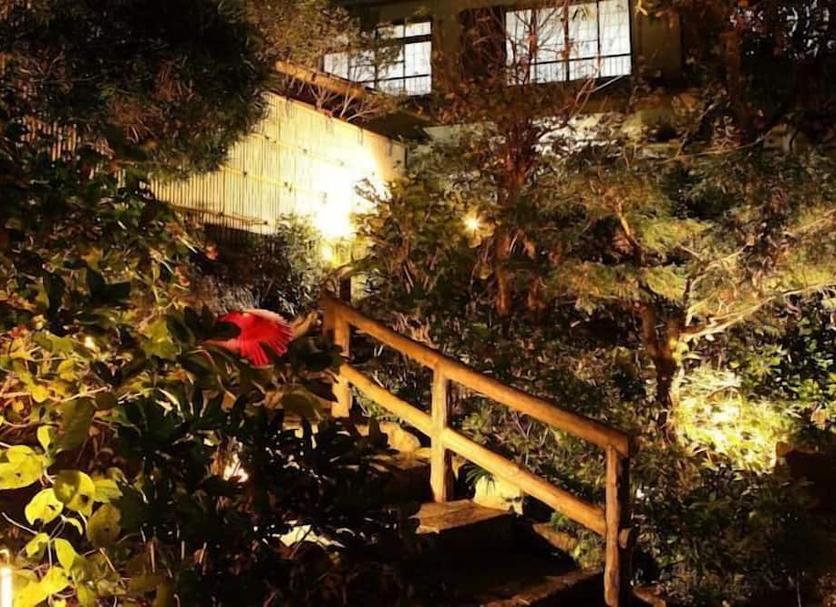 户外景观 照片