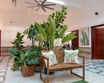 Jardin Colonial 精品酒店 - 圣多明各 - 露台