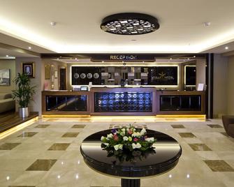 伊斯坦布尔排球酒店 - 伊斯坦布尔 - 柜台