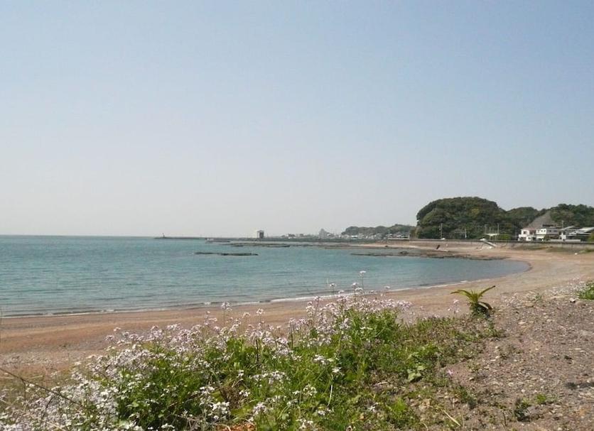 海滩 照片