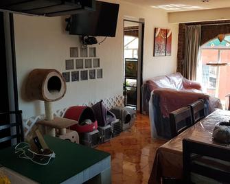 Shared Room for travelers in Exchange to study in Unam - 墨西哥城 - 客厅