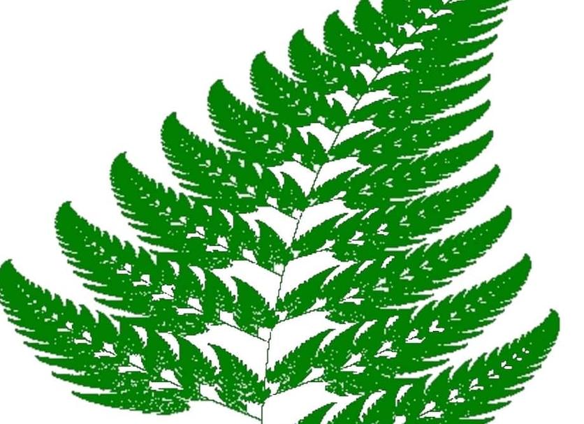 其他： 照片